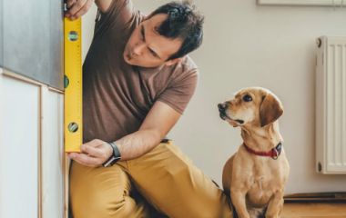 Ремонт в доме с животными: выбор материалов, устойчивых к когтям, шерсти и влаге