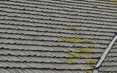 Как избавиться от мха на мягкой кровле